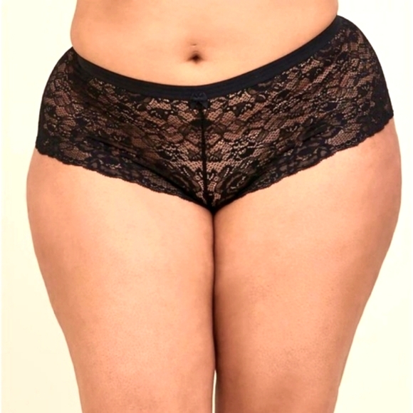 ❤️NWT VINTAGE TORRID SUPER SOFT BLACK LACE - MID-RISE CHEEKY PANTY PLUS SIZE - Picture 2 of 9